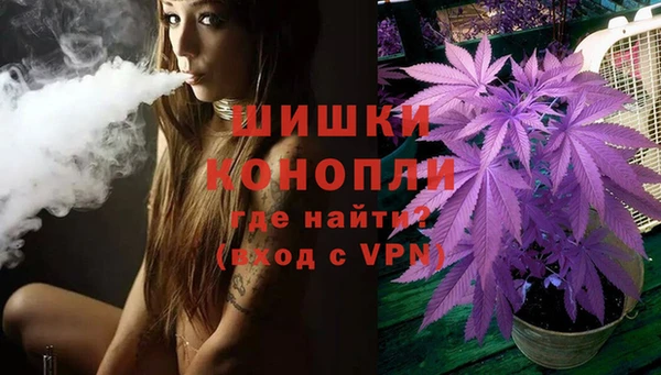амф Надым