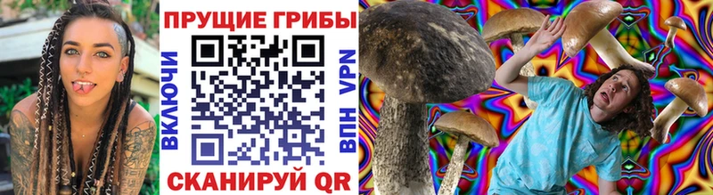 наркотики  Архангельск  Псилоцибиновые грибы Cubensis 