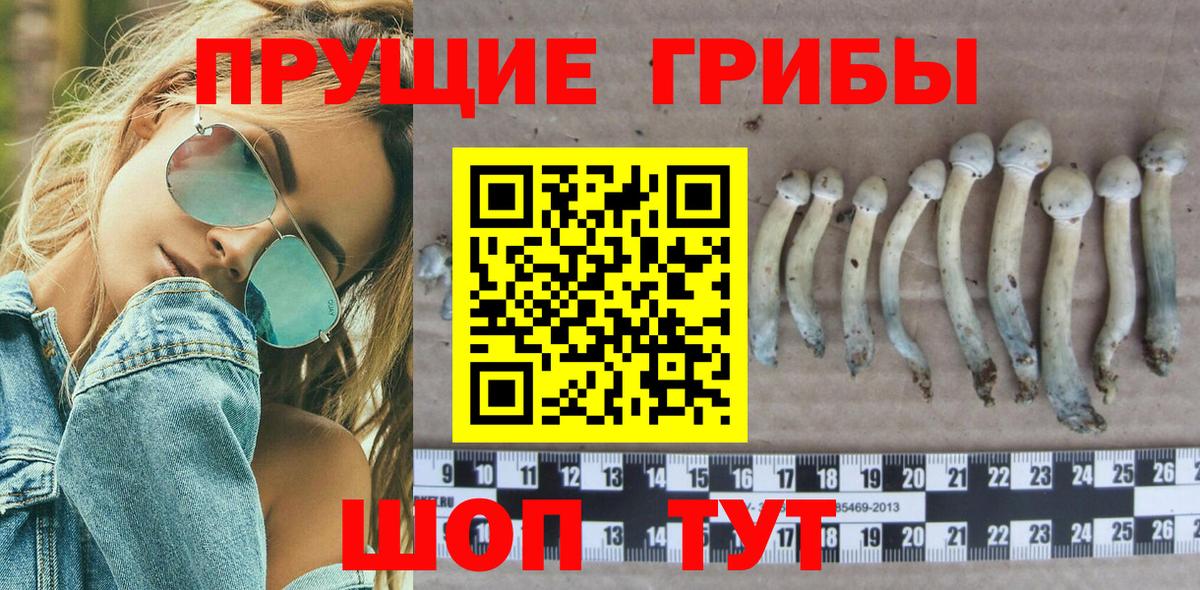 Галлюциногенные грибы мицелий  Псилоцибиновые грибы Psilocybe  Архангельск 