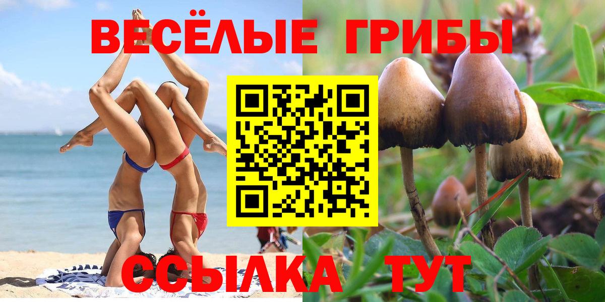 Архангельск  Псилоцибиновые грибы прущие грибы  Вход с VPN 